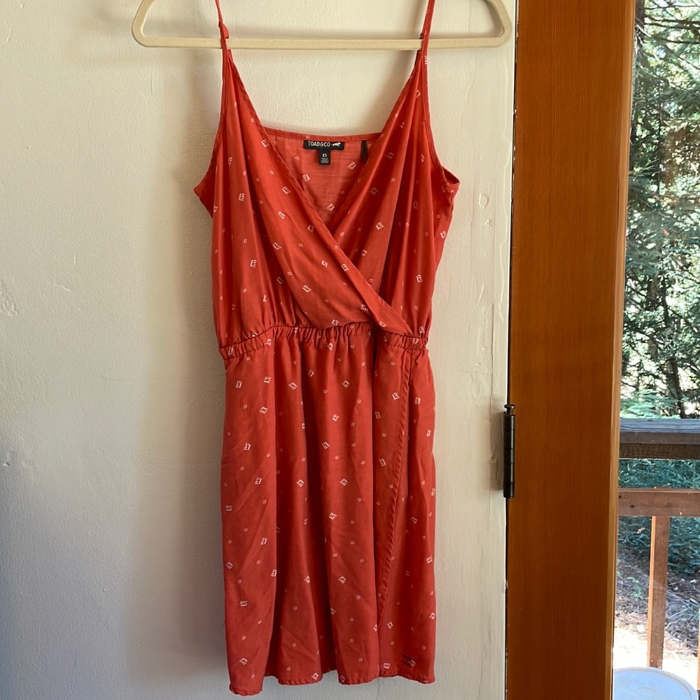 Toad & Co dress